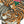 Koinobori Tattoo Tiger (M/2.56)